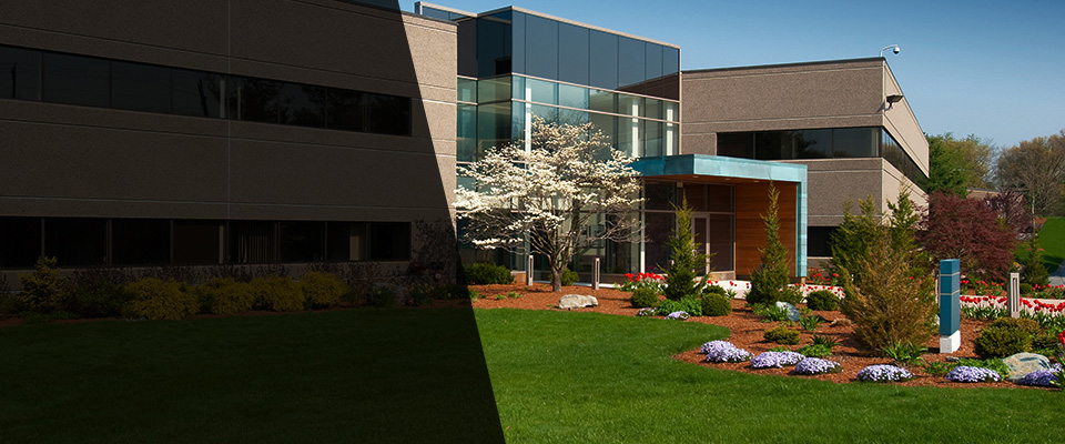 Waynesville Landscapers